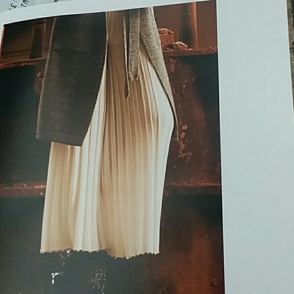 Pleated trousers